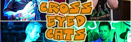 Группа «Cross-Eyed Cats»